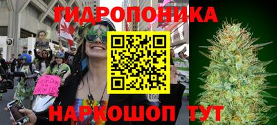 PSILOCYBIN Малоярославец