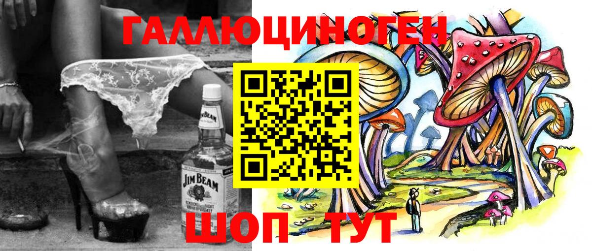 Галлюциногенные грибы Psilocybe Зеленокумск