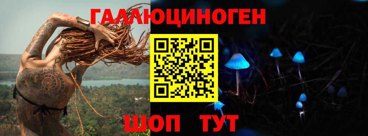 Псилоцибиновые грибы GOLDEN TEACHER  Вход с VPN  Псилоцибиновые грибы мухоморы  наркота  Зеленокумск 